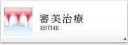 審美治療 ESTHE