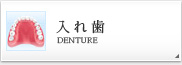 入れ歯 DENTURE