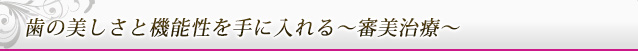 歯の美しさと機能性を手に入れる～審美治療～