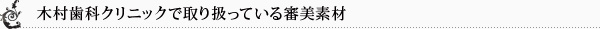 木村歯科クリニックで取り扱っている審美素材